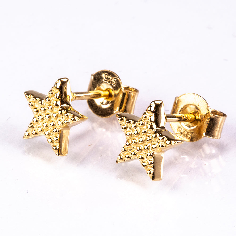 Arannyal Bevont Ezüst Fülbevaló 1 